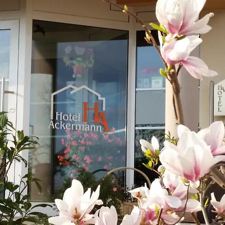 Ackermann 3* Riedstadt